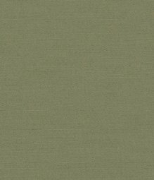 Green Feather Cotton Canvas Stretch Suit