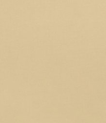 Light Khaki Cotton Fine Twill Pants